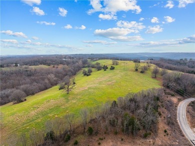 99 +/- acres with stunning views of Table Rock Lake! This - photo 36