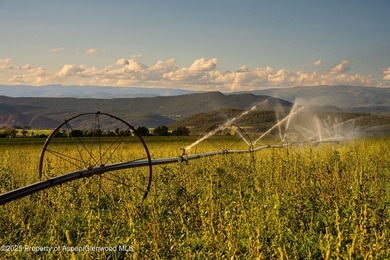 Behold 450 spectacular acres in the shadow of majestic Mt - photo 44