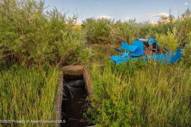 Behold 450 spectacular acres in the shadow of majestic Mt - photo 45