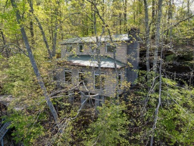 Smith Lake (Brushy) Nestled under a bluff &  in the woods sets - photo 1