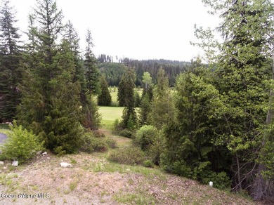 Build your dream home on the prestigious Priest Lake Golf Course - photo 18