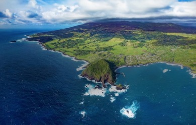 Hana Ranch South Orchard encompasses approximately 540 acres - photo 3