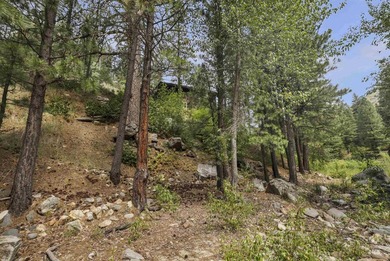 Stunning beauty that over looks the South Fork of the Boise - photo 38