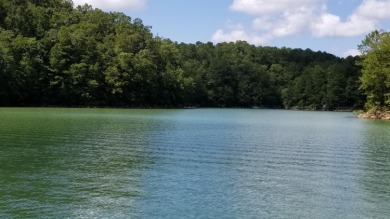 SMITH LAKE: 75+/- acres with 4,600+/- ft shoreline--one of the - photo 3