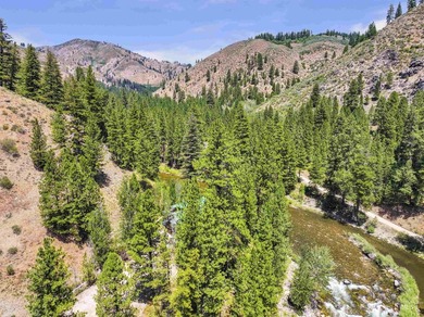 Stunning beauty that over looks the South Fork of the Boise - photo 44