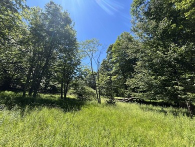 Escape to the peace and quiet of the mountains with this easily - photo 3
