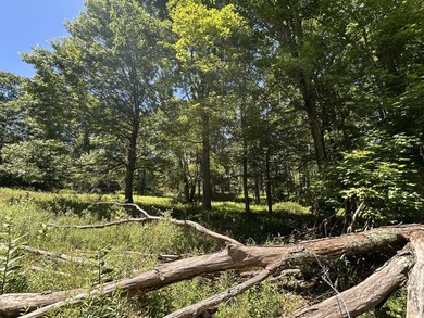 Escape to the peace and quiet of the mountains with this easily - photo 4