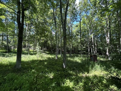 Escape to the peace and quiet of the mountains with this easily - photo 7