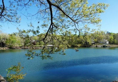 LEWIS SMITH LAKE - Gentle slopping lake lot on the main channel - photo 1