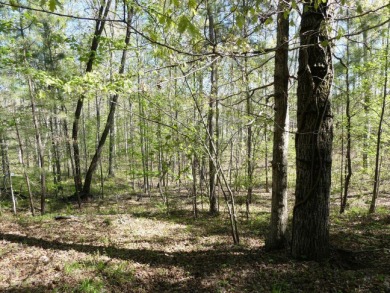 LEWIS SMITH LAKE - Gentle slopping lake lot on the main channel - photo 4