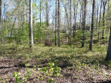 LEWIS SMITH LAKE - Gentle slopping lake lot on the main channel - photo 8