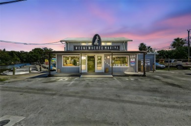 Weeki Wachee River Commercial For Sale in Weeki Wachee Florida