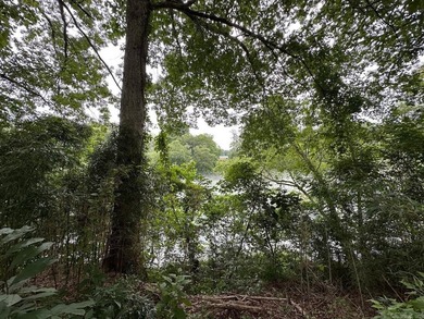 Lot 13 of Little Dunham subdivision has an excellent level - photo 7