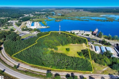 (private lake, pond, creek) Acreage For Sale in Manistee Michigan