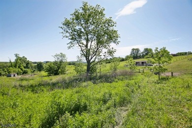 Welcome to one of Western New Jersey's most exceptional land - photo 13
