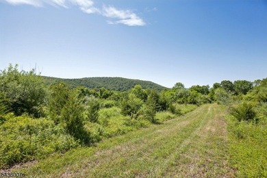 Welcome to one of Western New Jersey's most exceptional land - photo 16