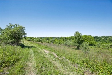 Welcome to one of Western New Jersey's most exceptional land - photo 17