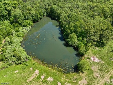 Welcome to one of Western New Jersey's most exceptional land - photo 19