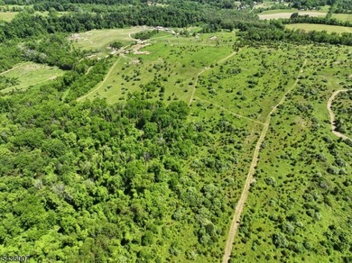 Welcome to one of Western New Jersey's most exceptional land - photo 28