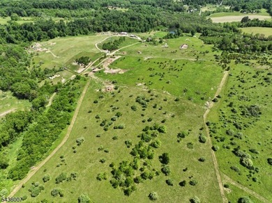 Welcome to one of Western New Jersey's most exceptional land - photo 29