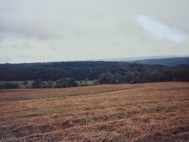 Welcome to one of Western New Jersey's most exceptional land - photo 36
