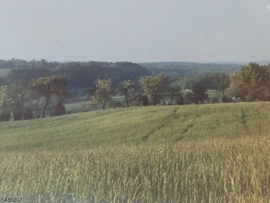 Welcome to one of Western New Jersey's most exceptional land - photo 37