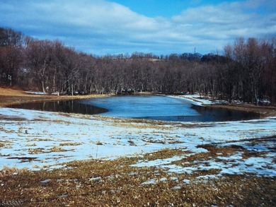 Welcome to one of Western New Jersey's most exceptional land - photo 40