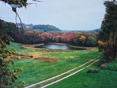 Welcome to one of Western New Jersey's most exceptional land - photo 41