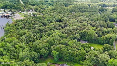 Waterfront Land for Sale - 10.33 Acres on Robinson Bayou! - photo 3