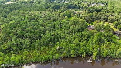 Waterfront Land for Sale - 10.33 Acres on Robinson Bayou! - photo 4