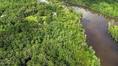 Waterfront Land for Sale - 10.33 Acres on Robinson Bayou! - photo 6