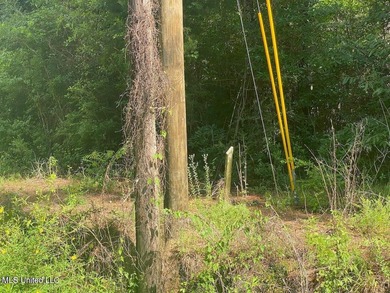 Waterfront Land for Sale - 10.33 Acres on Robinson Bayou! - photo 10