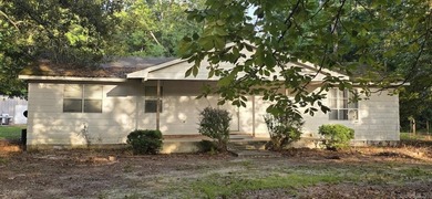 This 3-bedroom, 2-bath home offers privacy and plenty of room to - photo 1