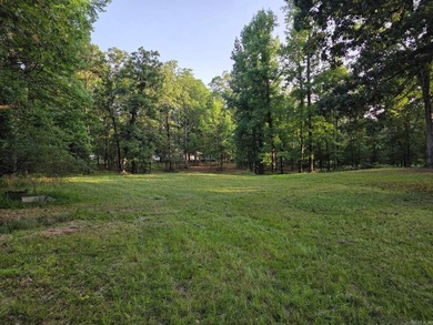 This 3-bedroom, 2-bath home offers privacy and plenty of room to - photo 3