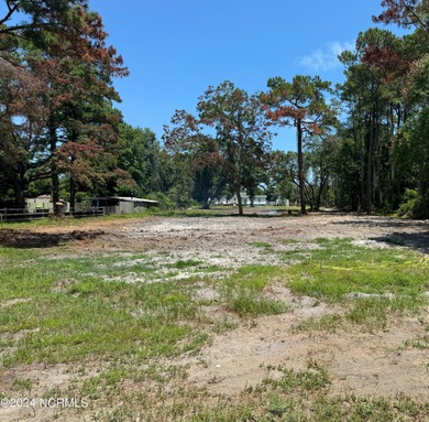 Desirable, Cleared, Level Lot ready to build on. North Carolina - photo 3