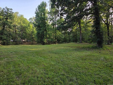 This 3-bedroom, 2-bath home offers privacy and plenty of room to - photo 6