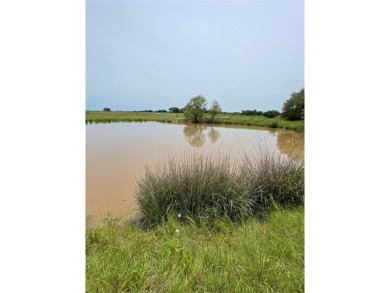Brazos River - Palo Pinto County Acreage For Sale in Mineral Wells Texas