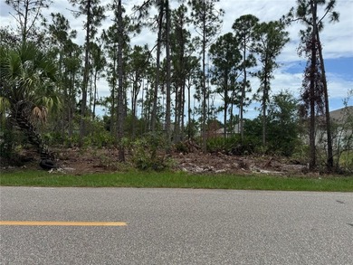 Port Charlotte Waterway Area Lot For Sale in Punta Gorda Florida