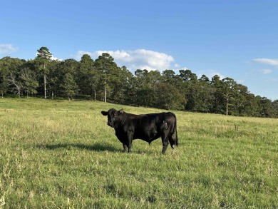 Lake Acreage For Sale in Bigelow, Arkansas