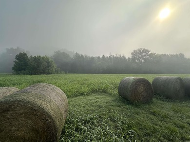 White River Lot For Sale in Guion Arkansas