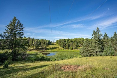 Horse lovers, your dream property has arrived! Nestled on 76.06 - photo 10