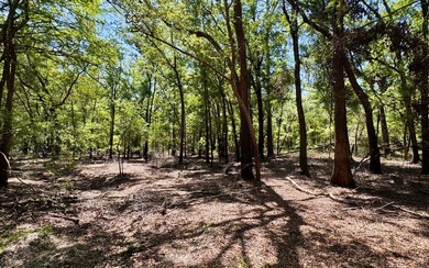 Suwannee River Lot For Sale in Obrien Florida