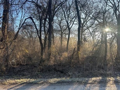 Lake Lot For Sale in Kingston, Oklahoma