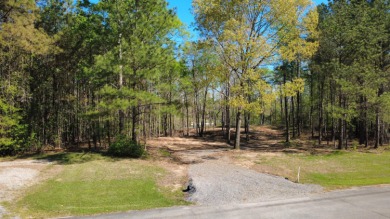 Discover the perfect lakeside retreat with this stunning 94 feet - photo 9