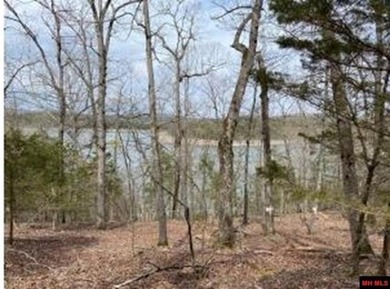 Bull Shoals Lake Commercial For Sale in Yellville Arkansas