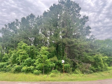 Lake Acreage For Sale in Mount Pleasant, Texas