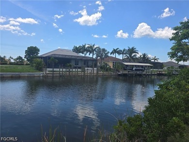 Nice and Cleared GULF ACCESS LOT with WESTERN Rear Exposure - photo 1