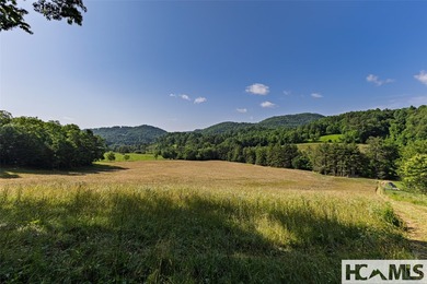 560 Salt Rock Rd in Cullowhee, North Carolina, is a 55.91-acre - photo 11