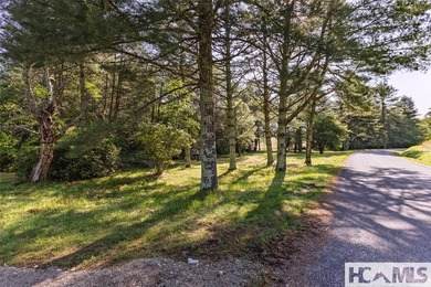 560 Salt Rock Rd in Cullowhee, North Carolina, is a 55.91-acre - photo 12