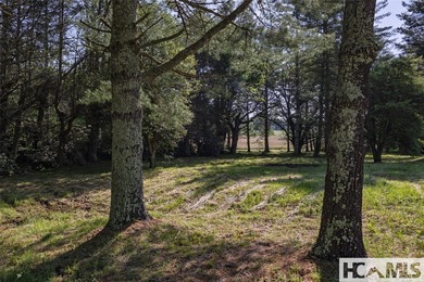560 Salt Rock Rd in Cullowhee, North Carolina, is a 55.91-acre - photo 13